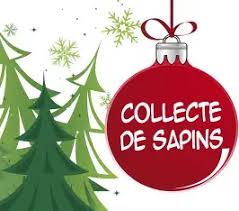 SAPINS DE NOËL