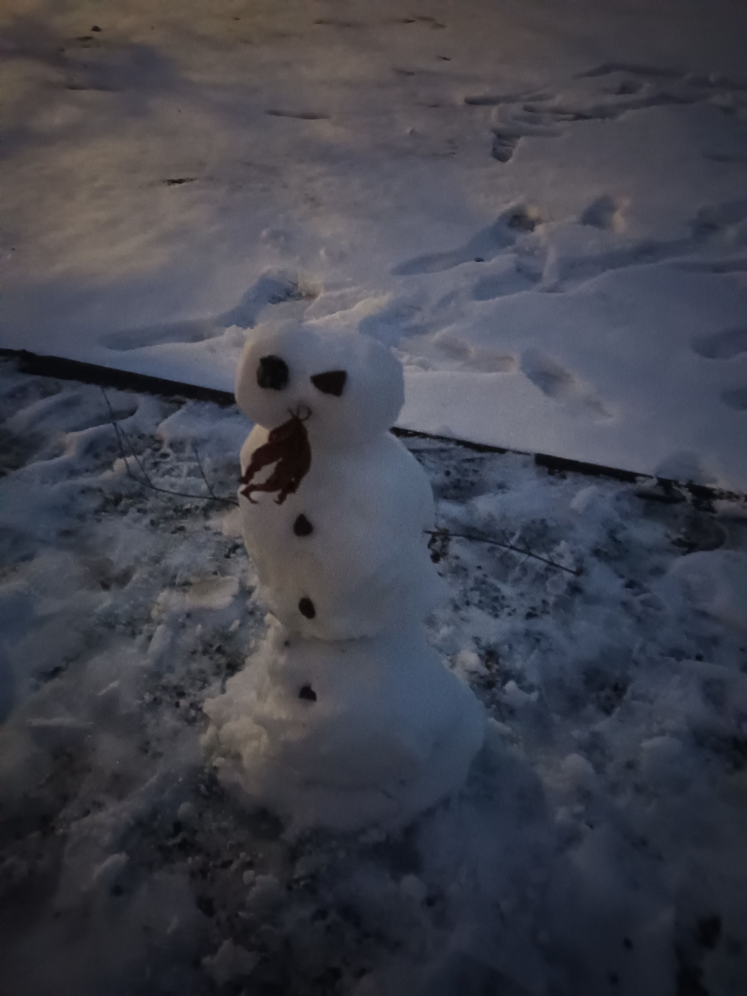 Actualite: ❄️ Les bonhommes de neige envahissent Vendin
